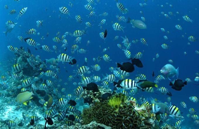 秋季浪漫约会